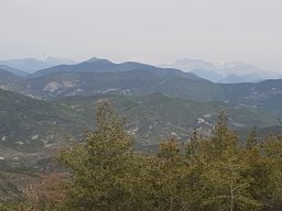 buis_les_baronnies28